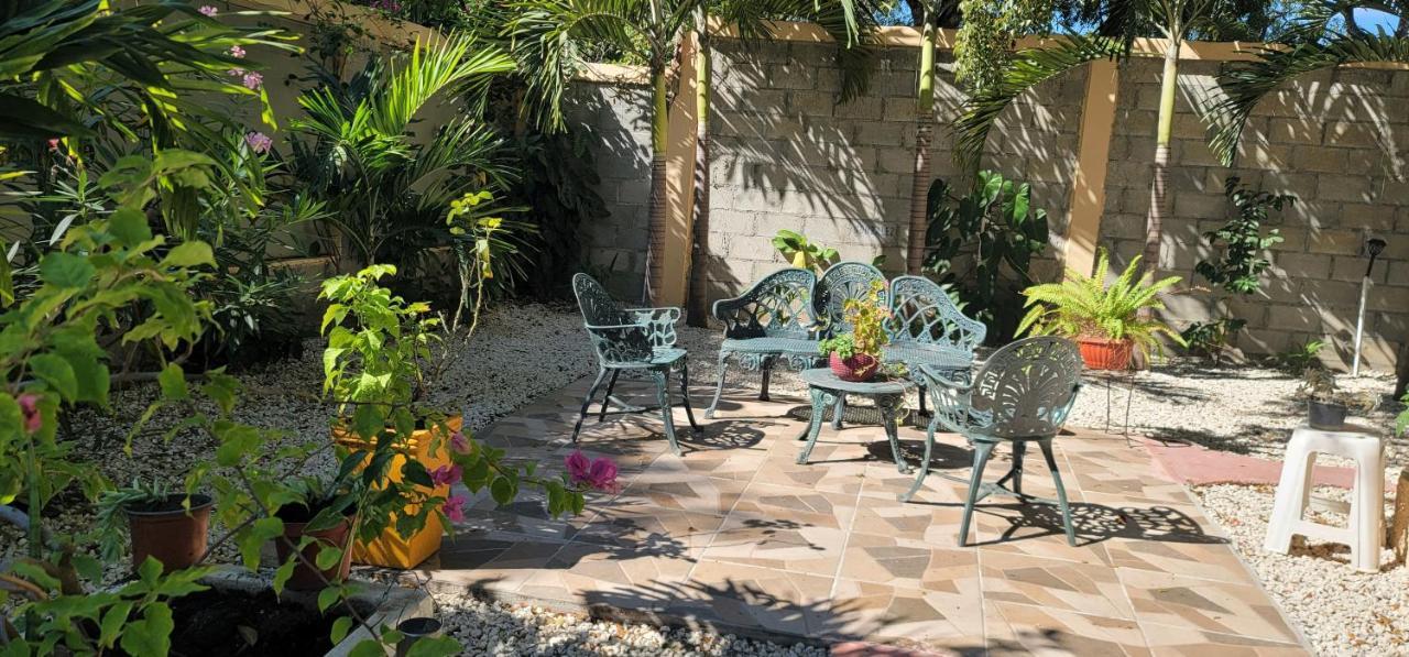Casita De Las Flores San Jose de Ocoa Ngoại thất bức ảnh
