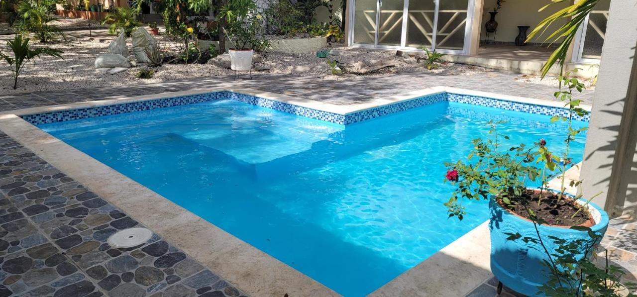 Casita De Las Flores San Jose de Ocoa Ngoại thất bức ảnh